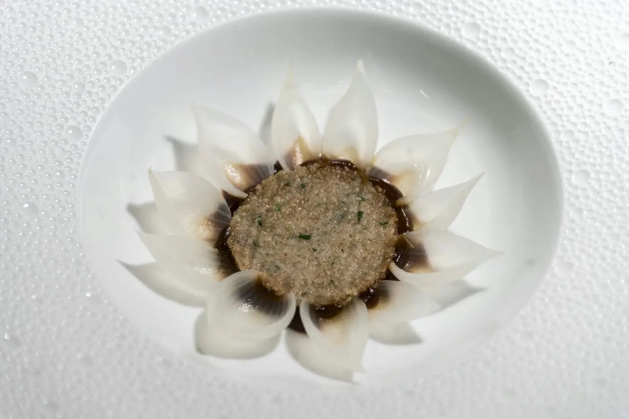 Picture of an elegantly plated dish that uses onion layers to look like a flower