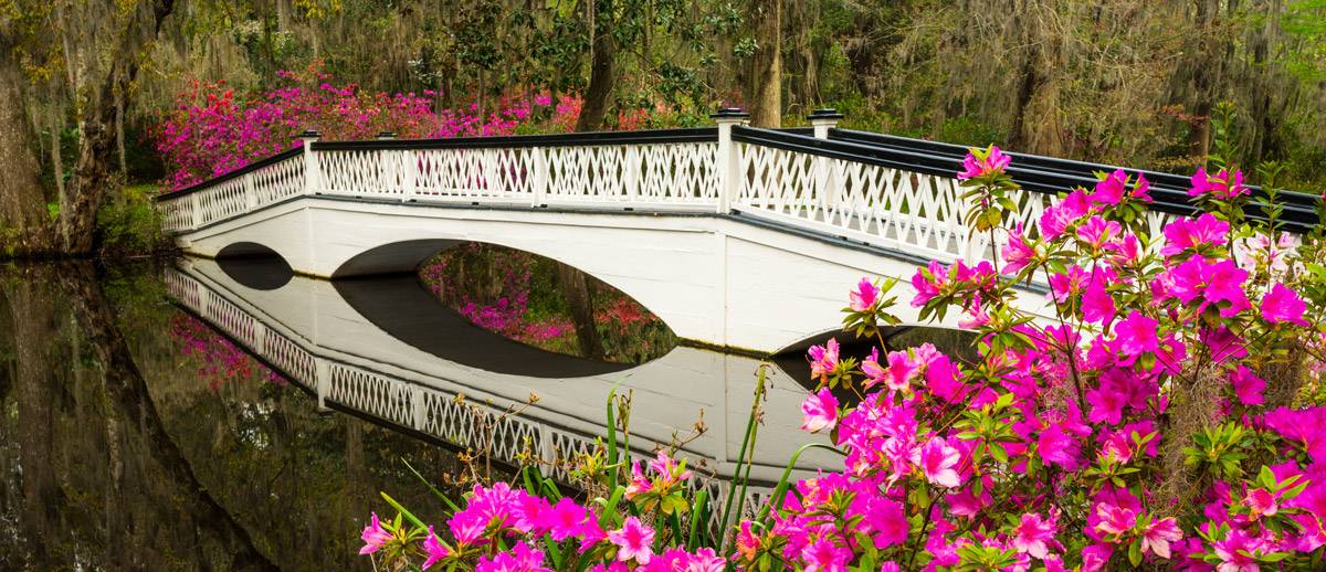 A bridge reflected in the water surrounded by magnolias.
