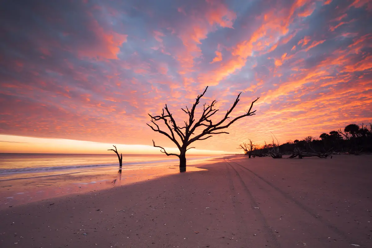 edisto beach bottany bay