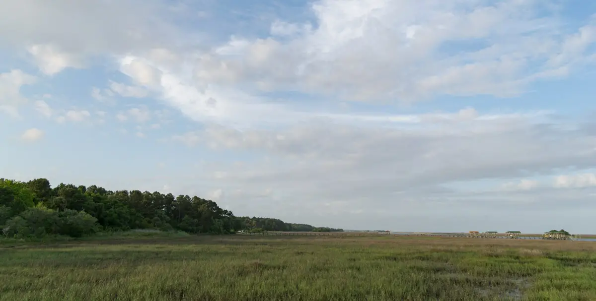 Bull's Island, SC beach