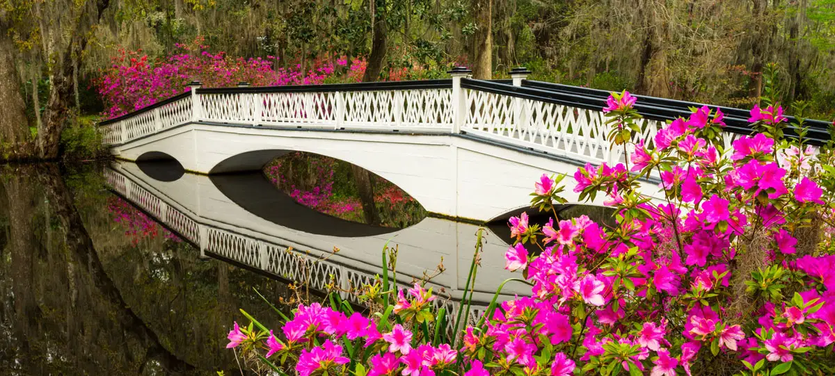 Magnolia Plantation Bridge