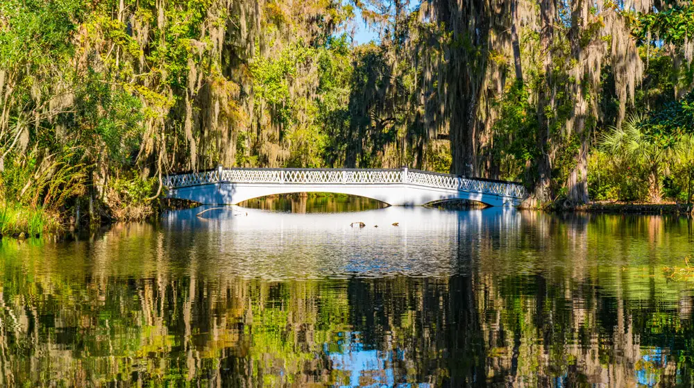 Magnolia Plantation