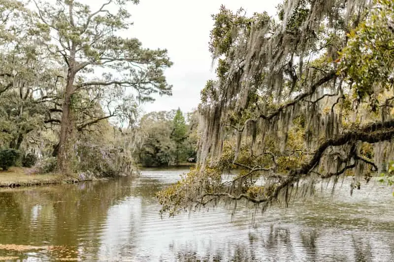 cypress gardens waterways