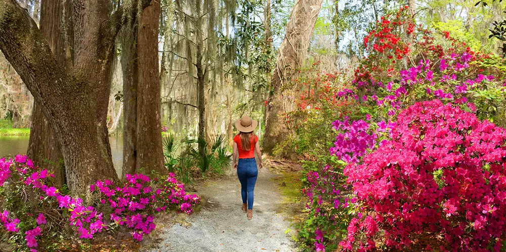 Charleston in May with the flowers blooming